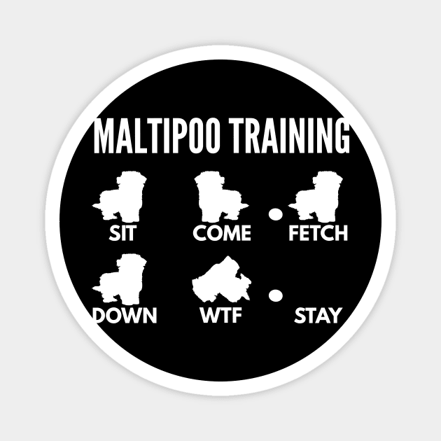 Maltipoo Training Maltipoo Tricks Magnet by DoggyStyles